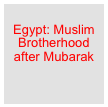 
Egypt: Muslim Brotherhood after Mubarak