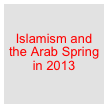 

Islamism and the Arab Spring in 2013